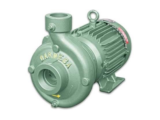 IB2½-15-2 - Bomba Centrífuga Mediana Presión - Acoplada Directamente Motor Eléctrico (TCCVE) - Serie IB