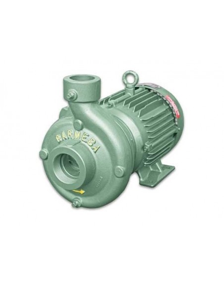 IB2½-15-2 - Bomba Centrífuga Mediana Presión - Acoplada Directamente Motor Eléctrico (TCCVE) - Serie IB