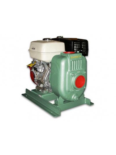 24M-350447 - BASE -...